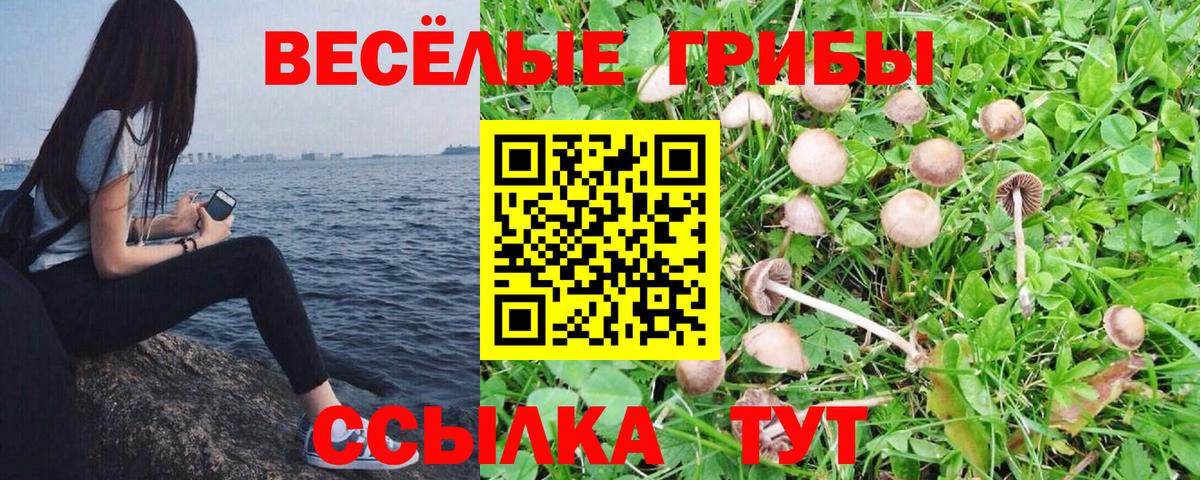 Псилоцибиновые грибы Magic Shrooms  Вход с VPN  Ростов Великий 