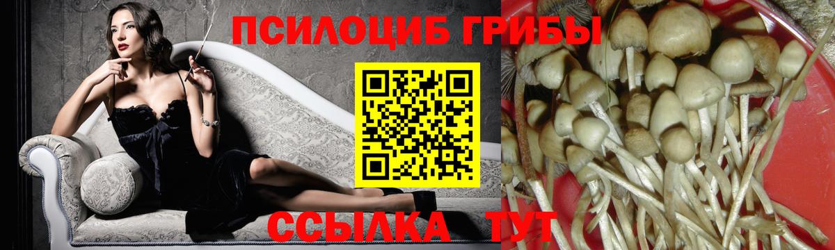 Псилоцибиновые грибы Cubensis Ростов Великий
